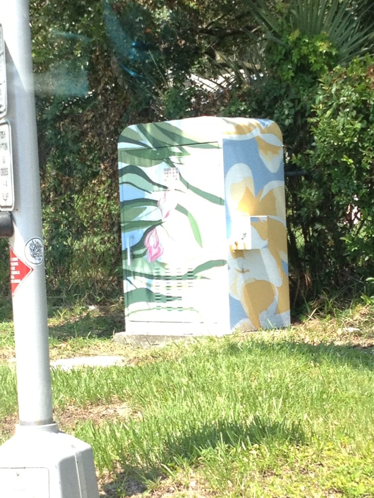 Painted electrical box 1
