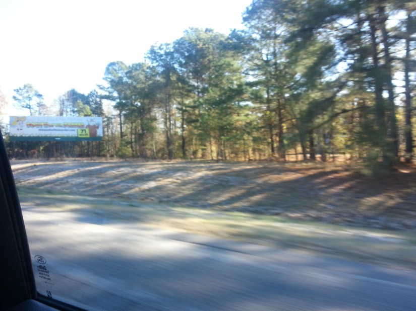 20131128_095048_3_bestshot