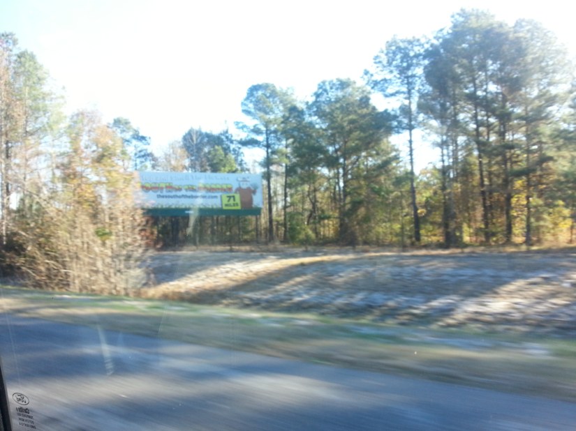 20131128_095050_7_bestshot (1)