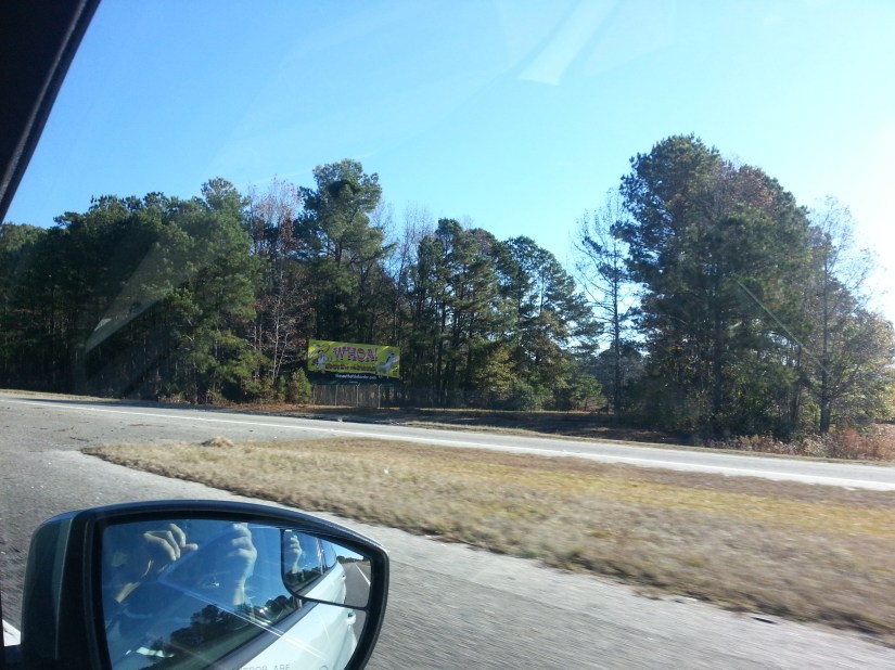 20131128_100025_8_bestshot