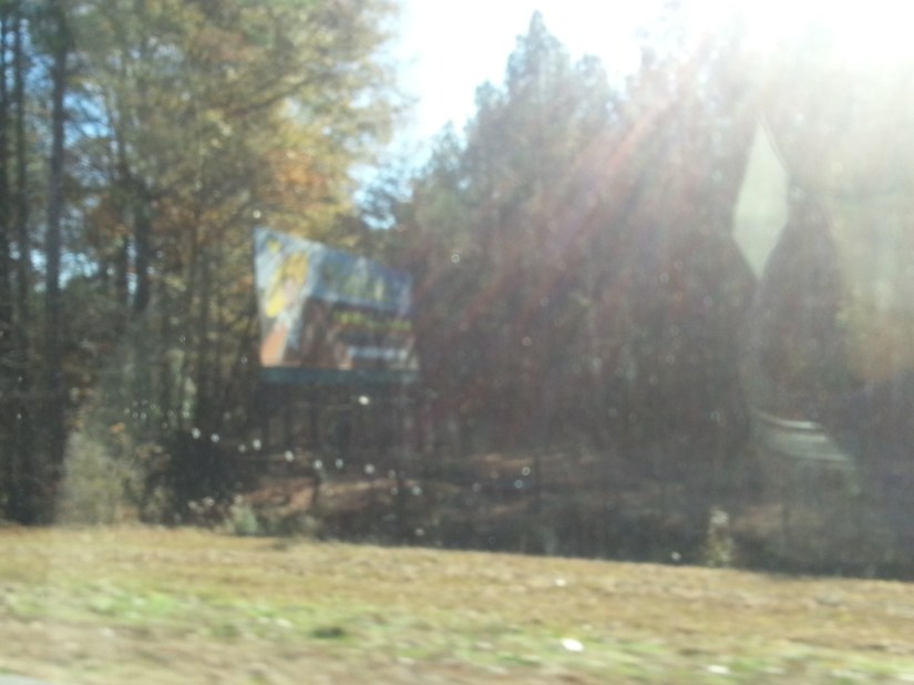 20131128_103028_8_bestshot