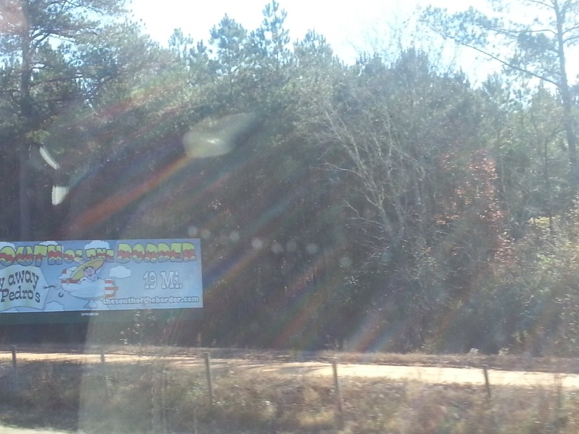 20131128_103211_1_bestshot (1)