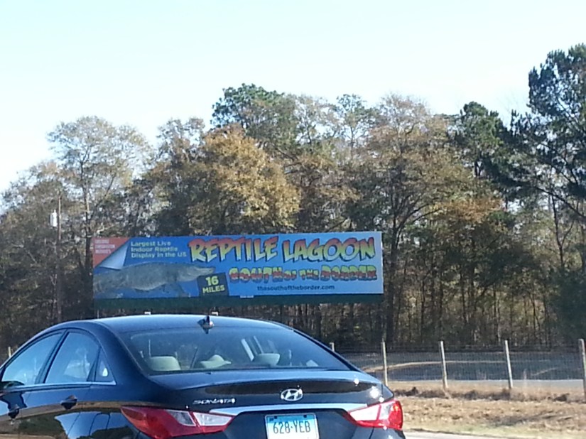 20131128_103404_4_bestshot