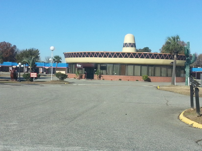 20131128_104822_4_bestshot (1)