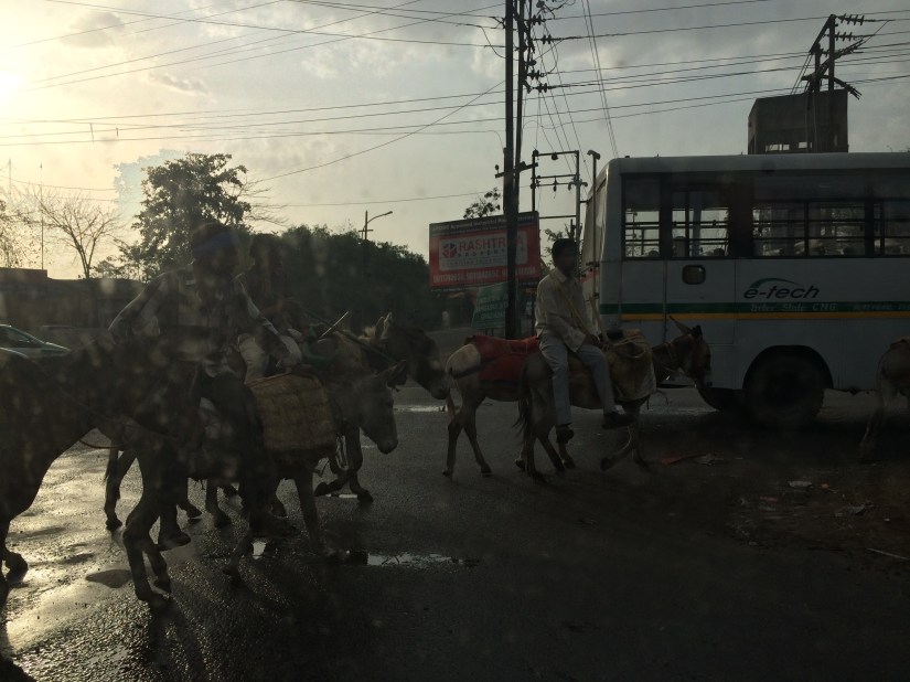 Horses were still a major source of transportation among the small towns.